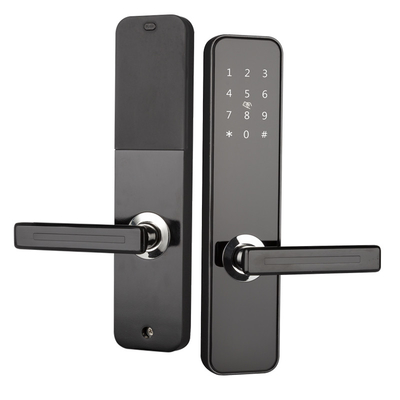 Blocco porta senza chiave elettronico NFC/IC Card Sblocco con maniglia Touchscreen Keypad