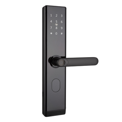 Wifi TTLOCK Smart Door Lock Biometric Fingerprint Door Handle Chiusura digitale senza chiave