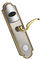 Chiusura porta elettronica smart placcata in oro / nichel Chiusura porta digitale senza chiave