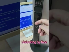 Riconoscimento facciale video occhio di gatto smart lock palma vena sblocco fabbrica cinese