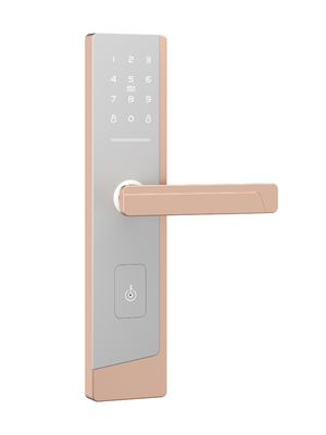 Smart Touchscreen Passcode Door Lock per un amministratore e fino a 100 utenti