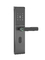 Home Security Smart Door Lock con controllo vocale di accesso remoto Un utente amministratore