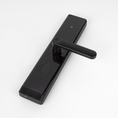 Digitale impronta digitale Smart Door Lock impermeabile elettrico con APP TTLOCK BLE Wifi