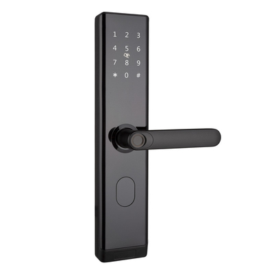 Digitale impronta digitale Smart Door Lock impermeabile elettrico con APP TTLOCK BLE Wifi