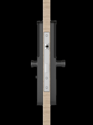 Bluetooth Impressione digitale Passcode Chiusura porta Cortile impermeabile Con controllo gateway