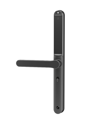 Bluetooth Impressione digitale Passcode Chiusura porta Cortile impermeabile Con controllo gateway