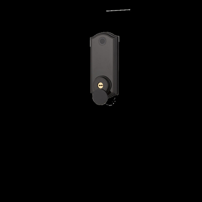 Touchscreen Smart Chiusura di porta a chiusura con impronta digitale IC Card Code APP Controllo WiFi Deadbolt