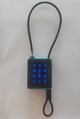 Smart PadLock con codice di scheda IC e controllo dell'app