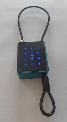 Serratura intelligente all'aperto senza chiave con cavo da 4 mm e controllo APP impermeabile IP65