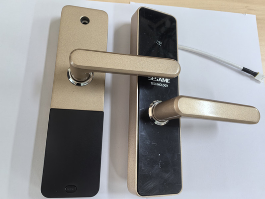 Serratura Smart Wi-Fi con accesso remoto e sicurezza migliorata