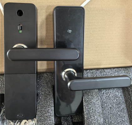 Pintura in lega di alluminio bluetooth di chiusura di porta Remote Control con connettività bluetooth / Wi-Fi