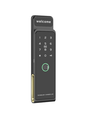 Chiusura smart cabinet con le impronte digitali con viti installate e modalità di sblocco multiple