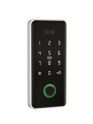 Password impronta digitale lucchetto smart armadio con viti in lega di zinco