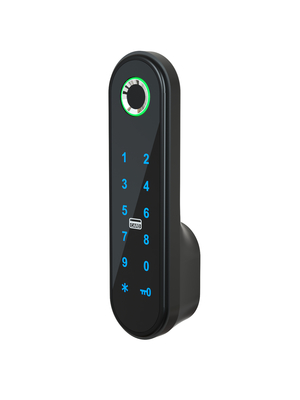 286g Elegante Smart Cabinet Lock/ Code APP Card Cabinet Lock Argento / Nero / Oro Rosa / Oro / Personalizzato
