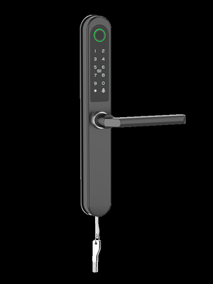 Bluetooth Remote Control Wifi Smart Lock Via Gateway Caratteristica speciale Impronta digitale