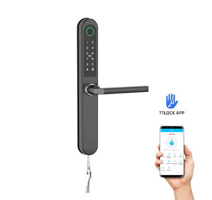 Finitura dipinta Smart Gate Lock Card / codice / impronte digitali / APP / Bluetooth / WiFi per appartamenti