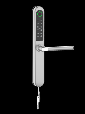 Impronta digitale Smart Keyless Door Lock per porta d'ingresso / porta di appartamento / porta di cortile / porta d'hotel