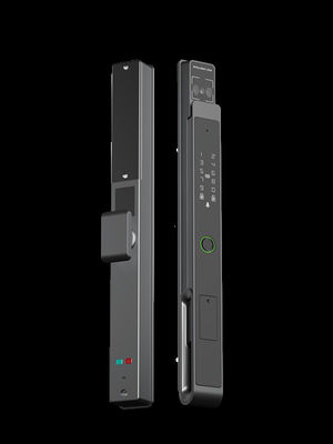 Face / Palm Vein Smart Mortise Lock 7-in-1 Sbloccaggio IP65 BKFDS Aluminio