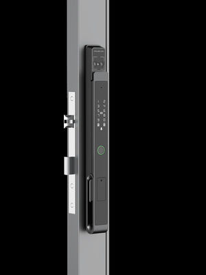 Face / Palm Vein Smart Mortise Lock 7-in-1 Sbloccaggio IP65 BKFDS Aluminio