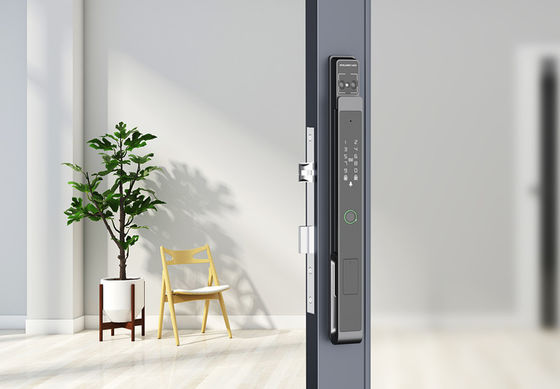 Face / Palm Vein Smart Gate Lock 7-in-1 Sbloccaggio in alluminio IP65