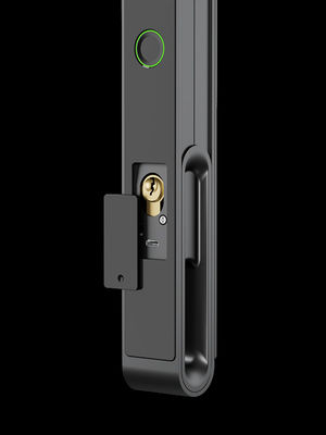 Face / Palm Vein Smart Gate Lock 7-in-1 Sbloccaggio in alluminio IP65