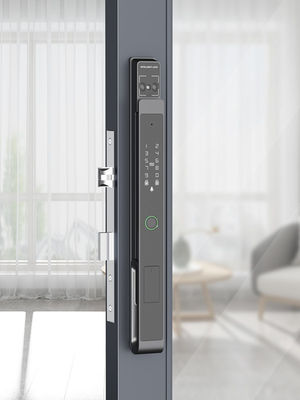 Video occhio di gatto palma vena / faccia sbloccante Wifi Smart Lock alluminio IP65