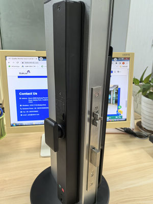 Video occhio di gatto palma vena / faccia sbloccante Wifi Smart Lock alluminio IP65