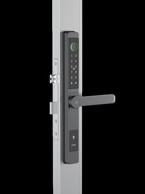 Riconoscimento facciale / Cat Eye Video / Palm Vein Smart Door Lock IP65 Aluminum