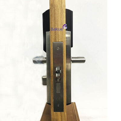 Controllo remoto tramite gateway APP Codice di scheda Bluetooth Wi-Fi Controller chiave meccanica Tipo Appartamento Porte lucchetto Fuoco Rated 60min Certificazione CE