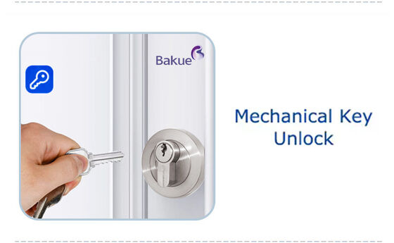Rechargeable Lithium Batteries Bluetooth Door Lock Core  Keyless Entry System Mobile App Control