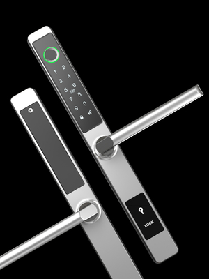 Chiusura di porta intelligente impermeabile IP65 con password