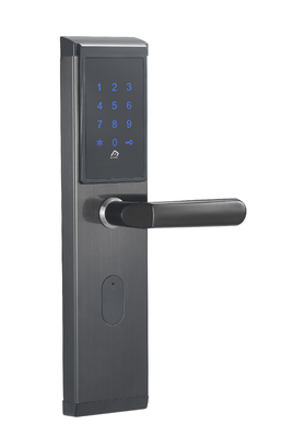 WiFi ha permesso alla serratura astuta elettronica ottiene questa funzione tramite ingresso