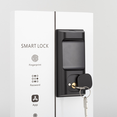 APP di controllo remoto per noleggiare serratura della porta con serratura Smart Deadbolt