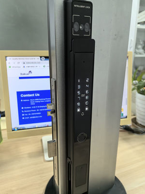 Aluminum Commercial Smart Lock Video Riconoscimento facciale occhio di gatto palma Vena sbloccante IP65
