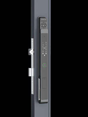 Manopola di porta intelligente nera / Riconoscimento facciale / Video Cat Eye IP65