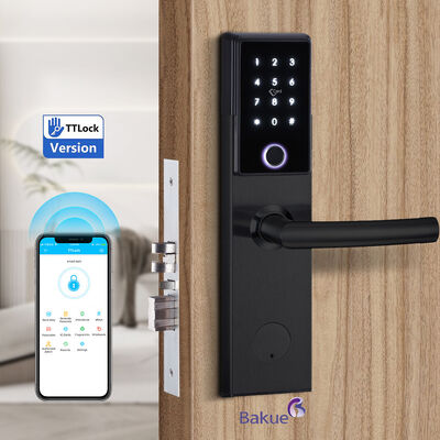Serratura intelligente Bluetooth ignifuga 120min, serratura elettronica per porta, sistema di controllo accessi durevole