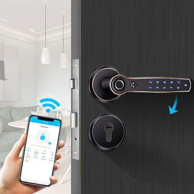 Chiusura a doppia serratura Chiusura a scuderia Chiusura a porta intelligente Chiusura a porta FPC Stampa digitale
