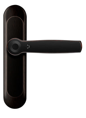 ROHS Smart Fingerprint Bluetooth Door Lock AI Voice Maniglia in lega di zinco